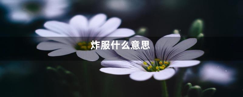 炸服什么意思