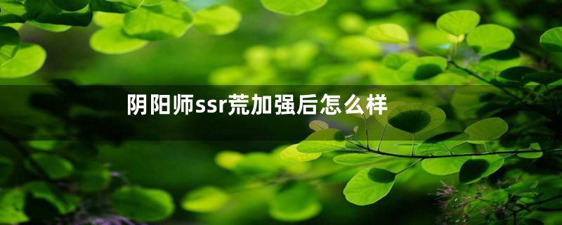 阴阳师ssr荒加强后怎么样