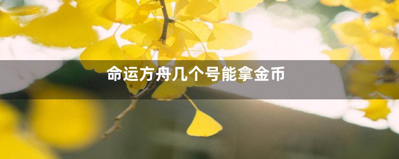 命运方舟几个号能拿金币