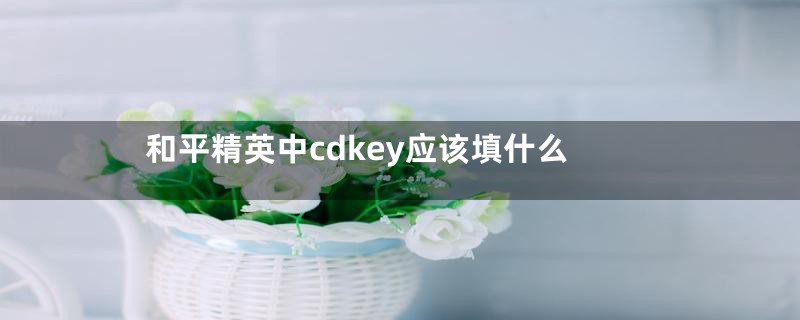 和平精英中cdkey应该填什么