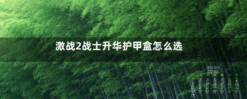 激战2战士升华护甲盒怎么选