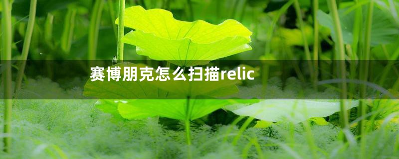 赛博朋克怎么扫描relic