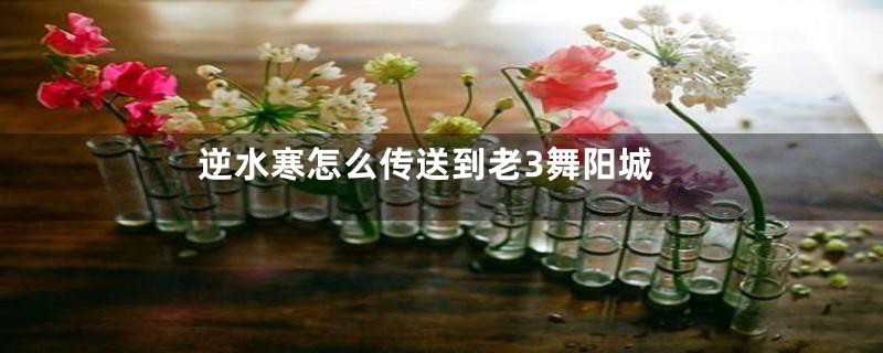 逆水寒怎么传送到老3舞阳城