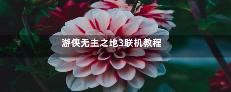 游侠无主之地3联机教程