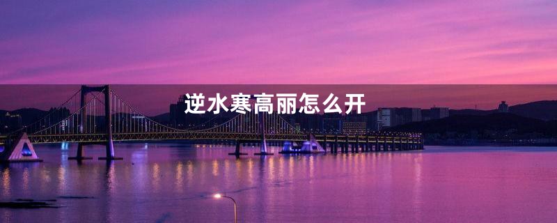 逆水寒高丽怎么开