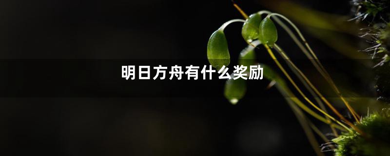 明日方舟有什么奖励