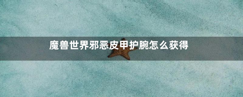 魔兽世界邪恶皮甲护腕怎么获得