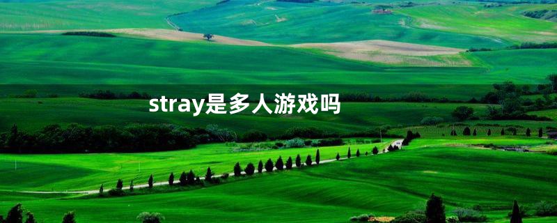 stray是多人游戏吗