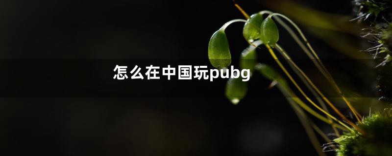 怎么在中国玩pubg