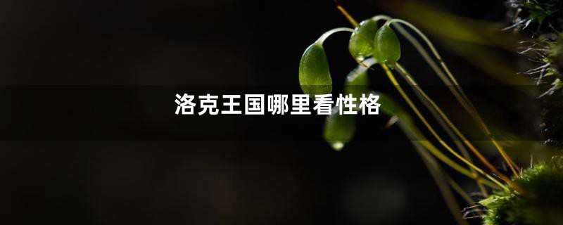 洛克王国哪里看性格