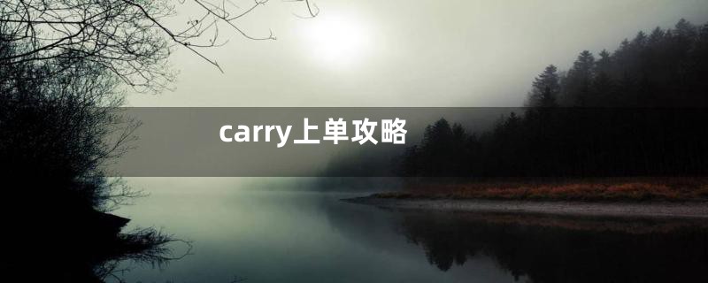 carry上单攻略