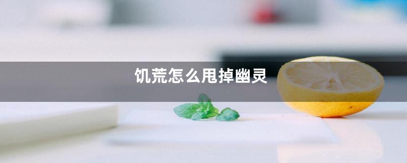 饥荒怎么甩掉幽灵