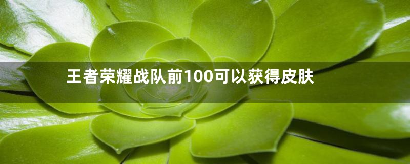 王者荣耀战队前100可以获得皮肤