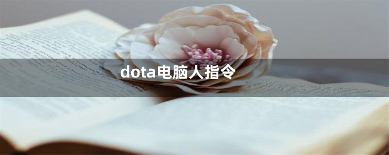 dota电脑人指令