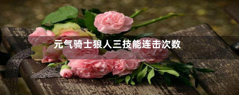 元气骑士狼人三技能连击次数