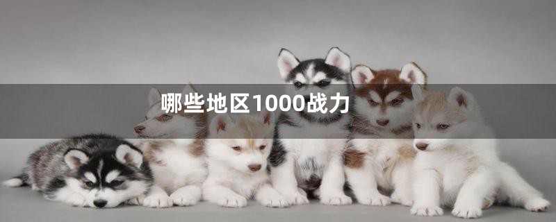 哪些地区1000战力