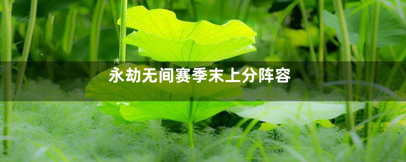 永劫无间赛季末上分阵容