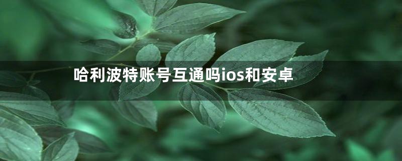 哈利波特账号互通吗ios和安卓