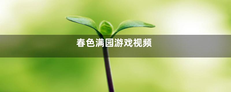 春色满园游戏视频