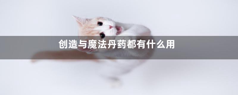 创造与魔法丹药都有什么用