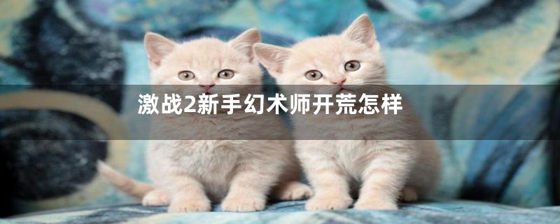 激战2新手幻术师开荒怎样