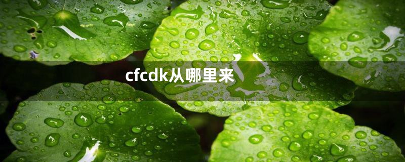 cfcdk从哪里来