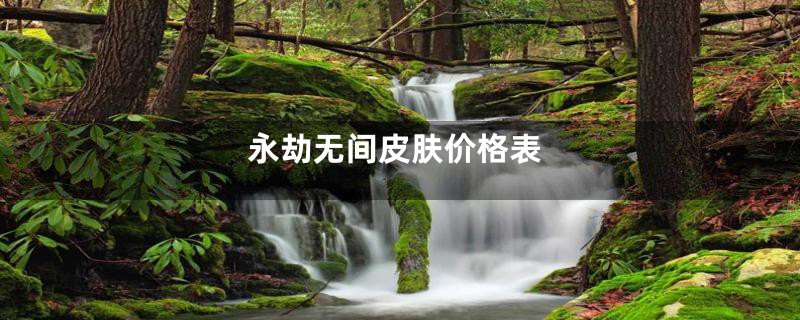 永劫无间皮肤价格表