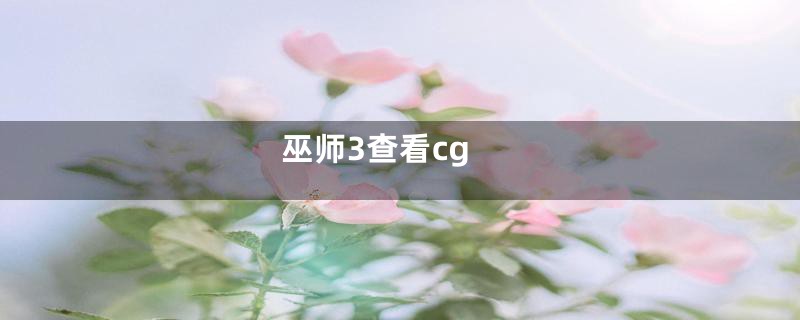 巫师3查看cg