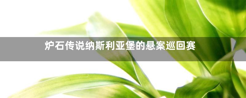 炉石传说纳斯利亚堡的悬案巡回赛