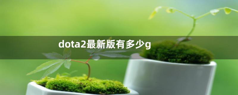 dota2最新版有多少g