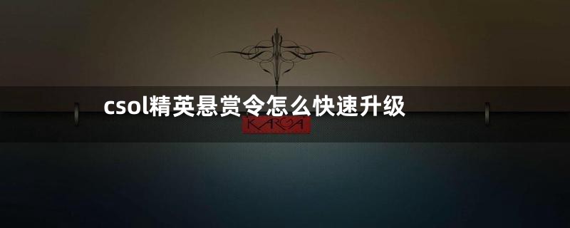 csol精英悬赏令怎么快速升级