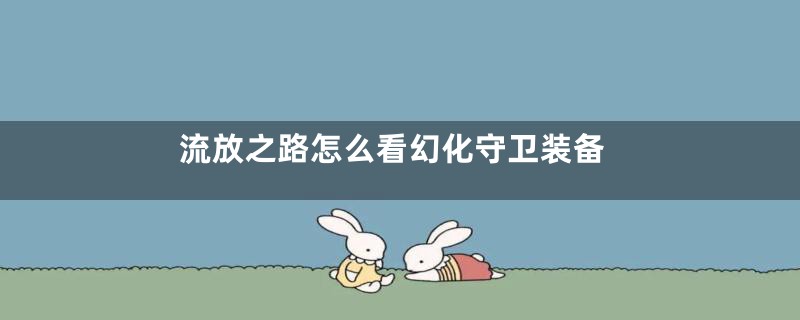 流放之路怎么看幻化守卫装备