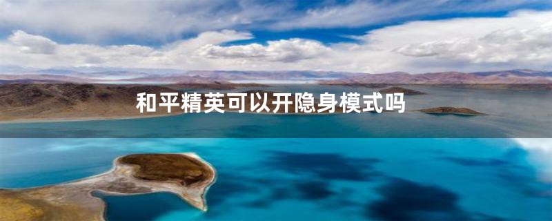 和平精英可以开隐身模式吗