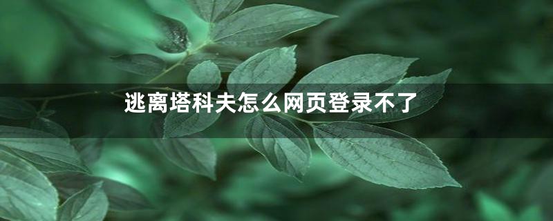 逃离塔科夫怎么网页登录不了