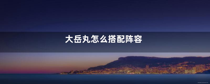 大岳丸怎么搭配阵容