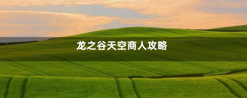 龙之谷天空商人攻略