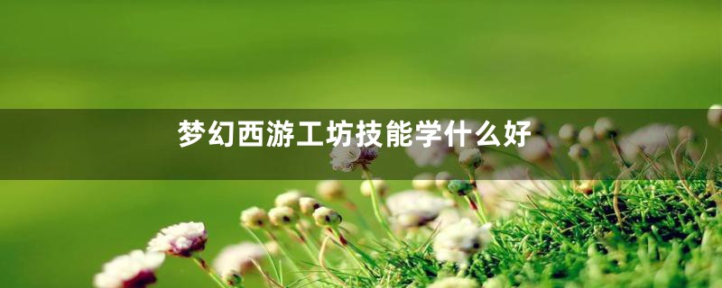 梦幻西游工坊技能学什么好