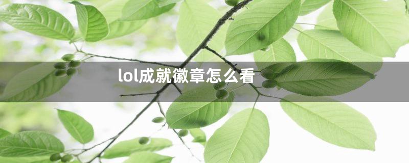 lol成就徽章怎么看