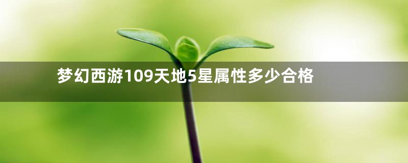 梦幻西游109天地5星属性多少合格