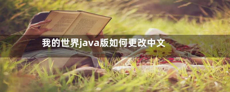 我的世界java版如何更改中文