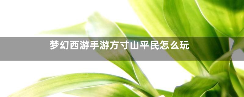 梦幻西游手游方寸山平民怎么玩