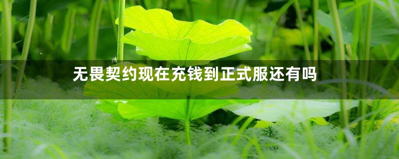 无畏契约现在充钱到正式服还有吗