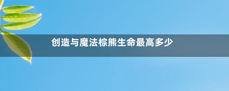 创造与魔法棕熊生命最高多少