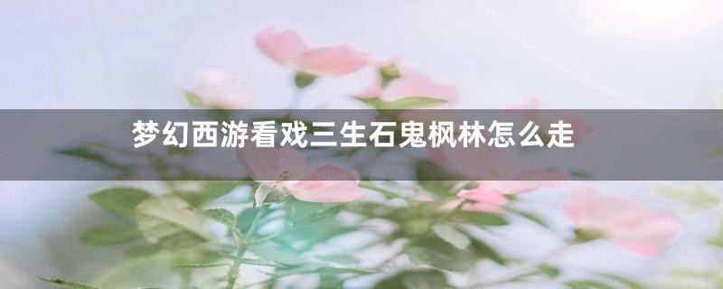 梦幻西游看戏三生石鬼枫林怎么走