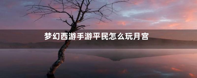 梦幻西游手游平民怎么玩月宫