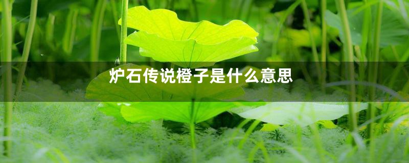 炉石传说橙子是什么意思