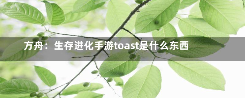 方舟：生存进化手游toast是什么东西