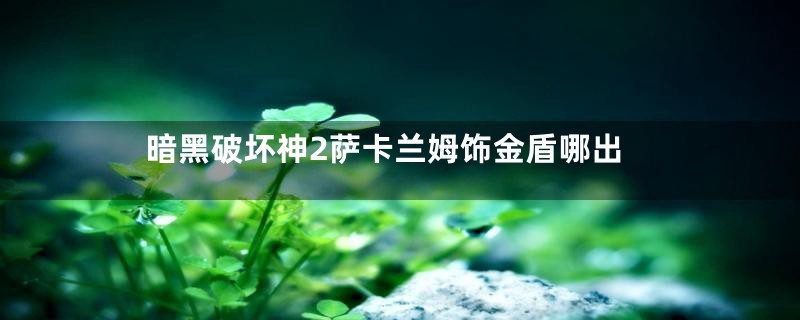 暗黑破坏神2萨卡兰姆饰金盾哪出