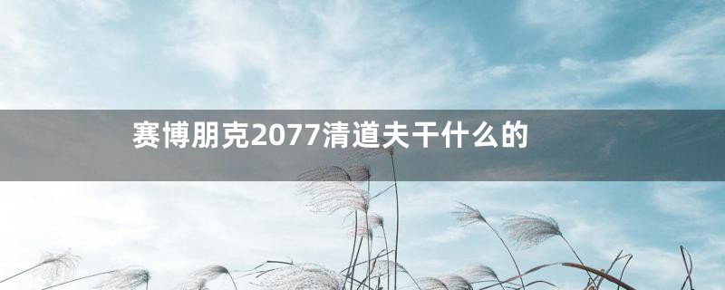 赛博朋克2077清道夫干什么的