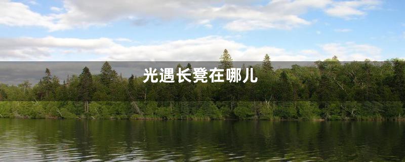 光遇长凳在哪儿